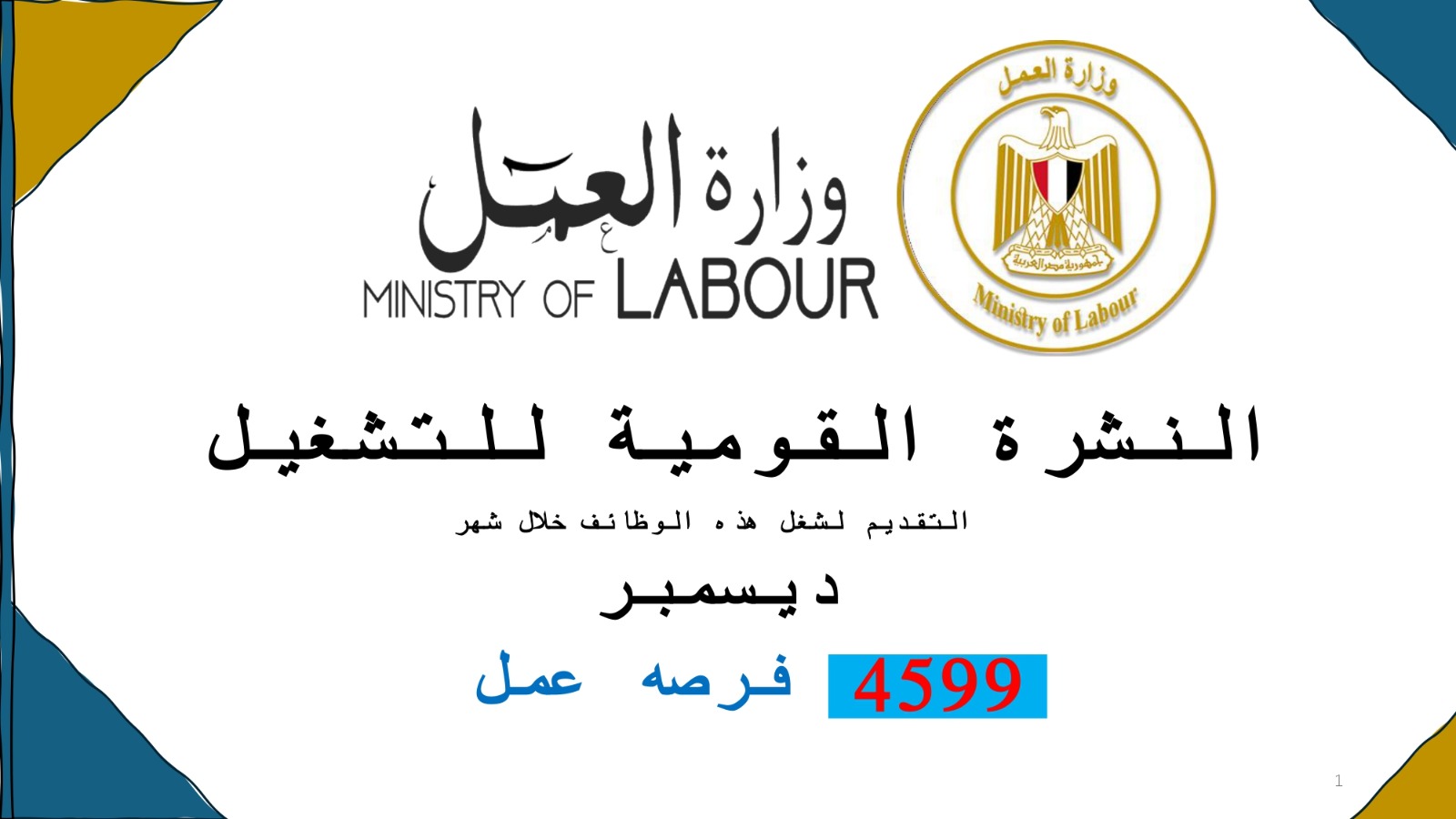 وزير القوى العامله 